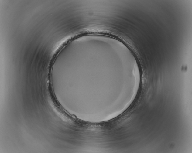 X0000110920438200907091501