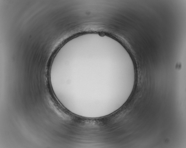 X0000110920439200907091501