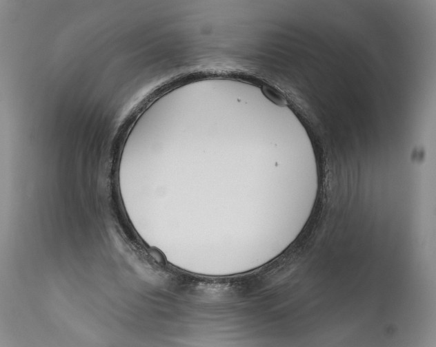 X0000110920440200907091501