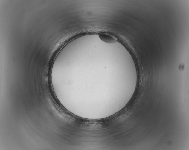 X0000110920443200907091501