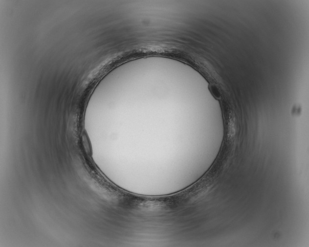 X0000110920444200907091501