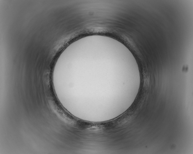 X0000110920447200907091501