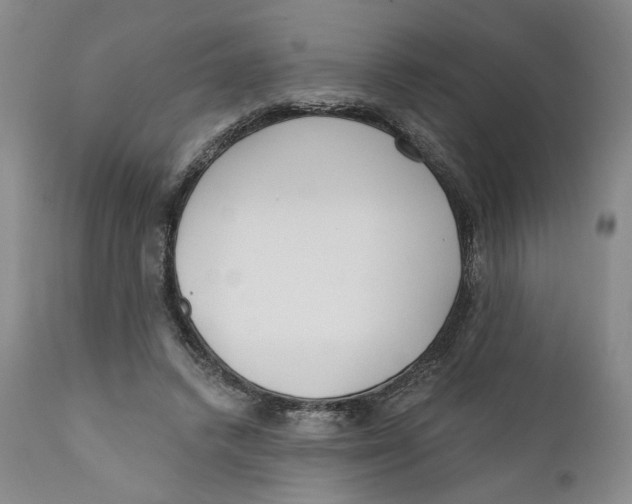 X0000110920448200907091501