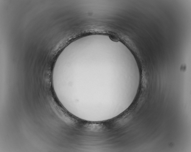 X0000110920449200907091501
