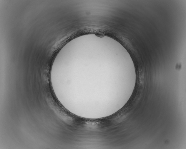 X0000110920450200907091501