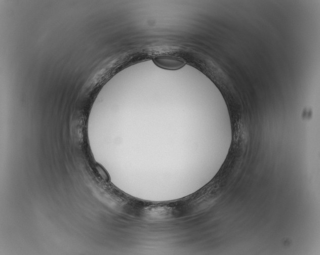 X0000110920452200907091501