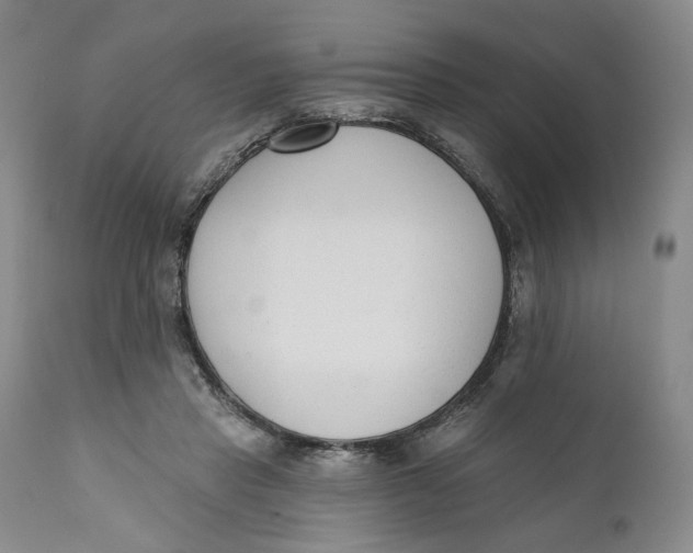 X0000110920453200907091501
