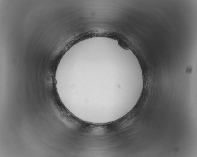 X0000110920456200907091501