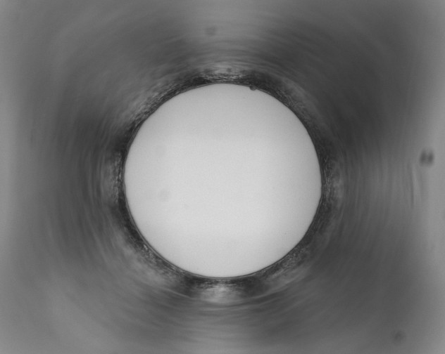 X0000110920460200907091501