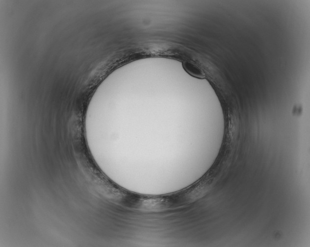 X0000110920461200907091501