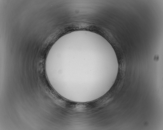 X0000110920462200907091501