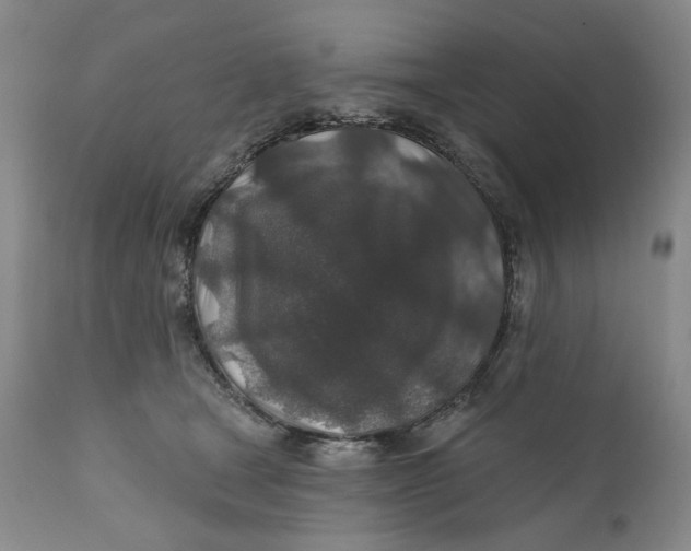 X0000110920465200907091501