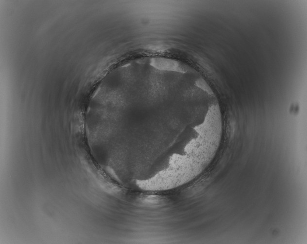 X0000110920467200907091501