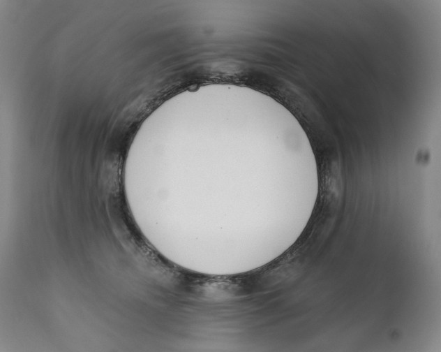 X0000110920468200907091501
