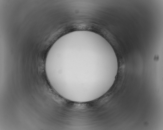 X0000110920469200907091501