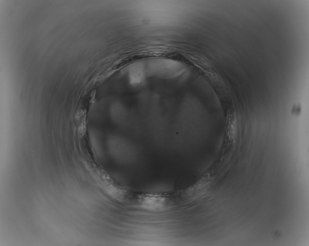 X0000110920471200907091501