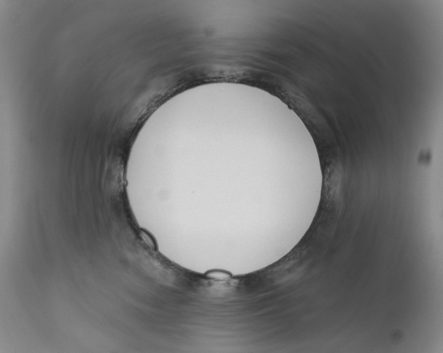 X0000110920474200907091501