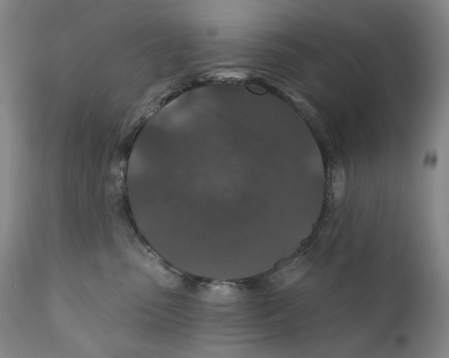 X0000110920475200907091501
