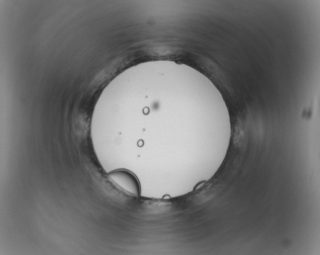 X0000110920476200907091501