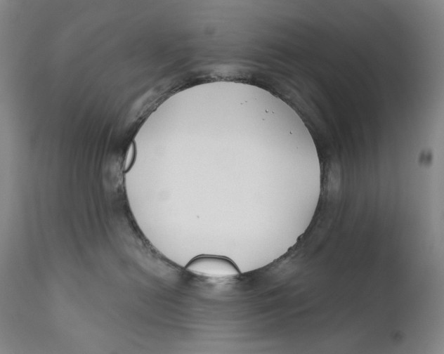 X0000110920478200907091501