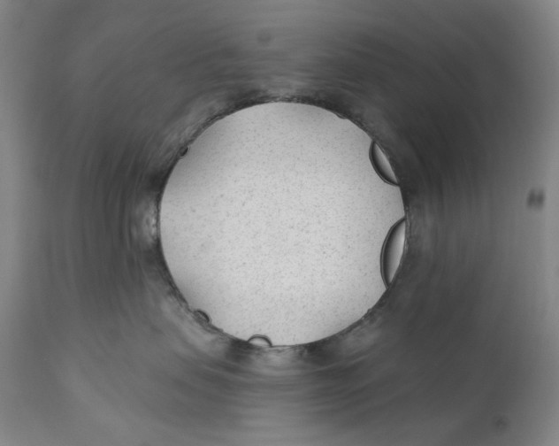X0000110920479200907091501