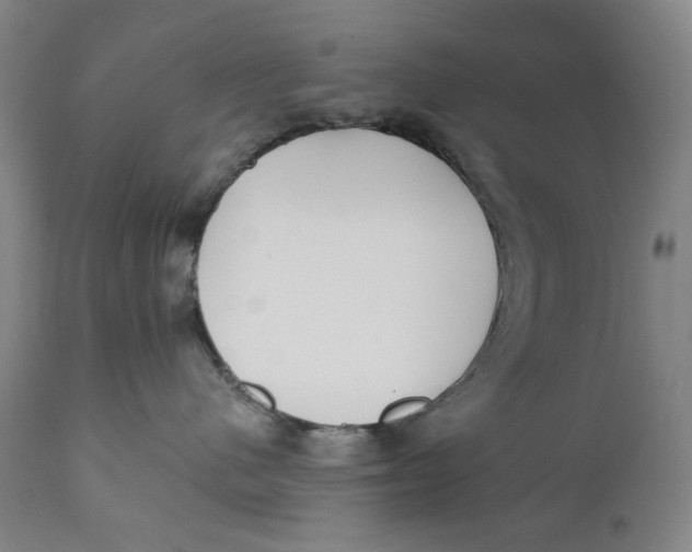 X0000110920480200907091501