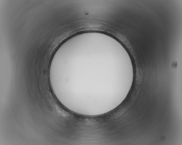 X0000110920481200907091501