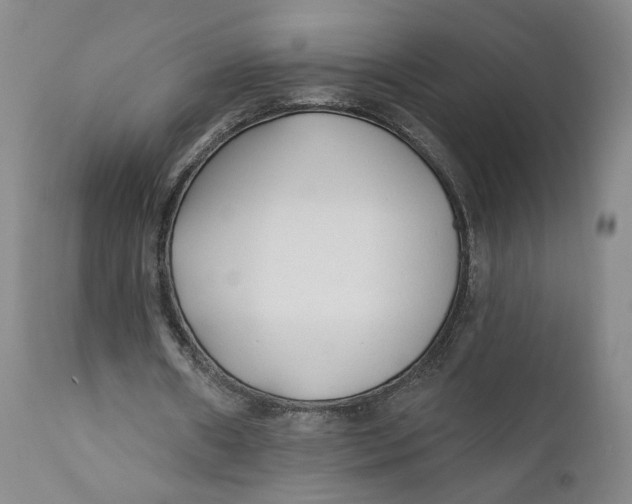X0000110920482200907091501