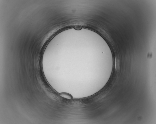 X0000110920483200907091501