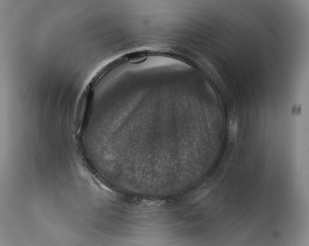 X0000110920484200907091501