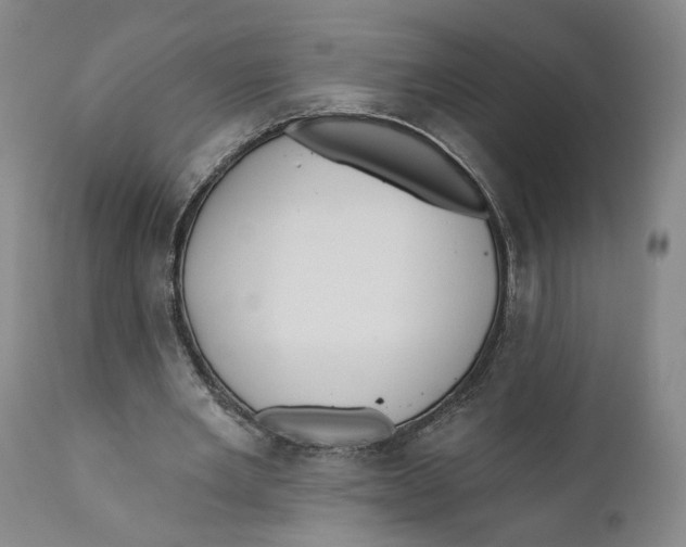 X0000110920485200907091501