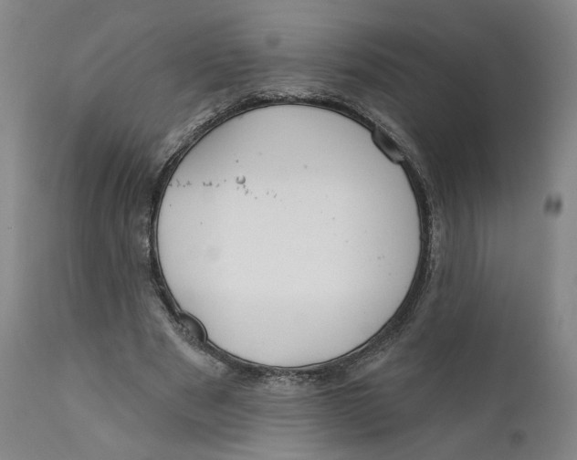X0000110920489200907091501