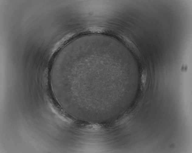 X0000110920492200907091501