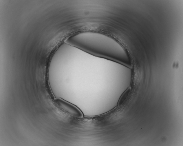 X0000110920493200907091501