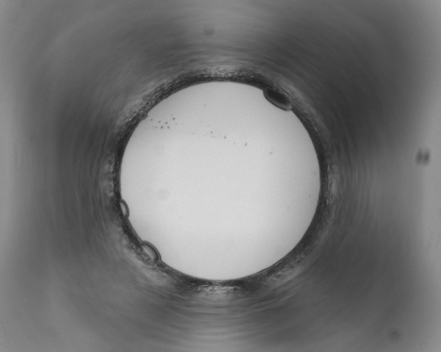 X0000110920497200907091501