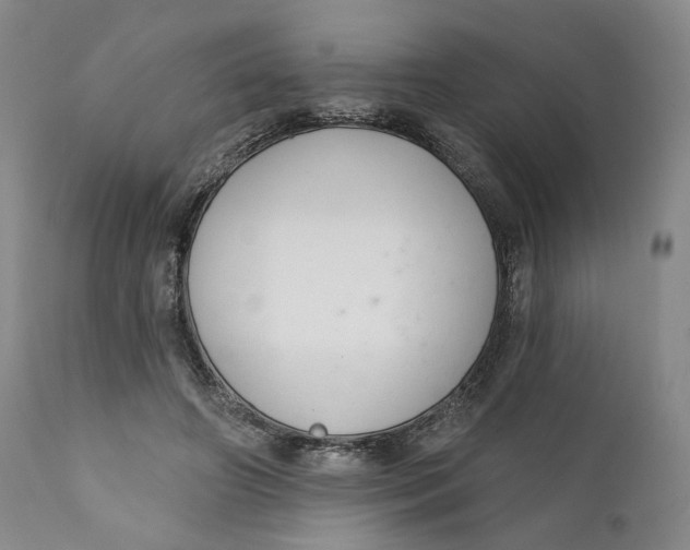X0000110920498200907091501