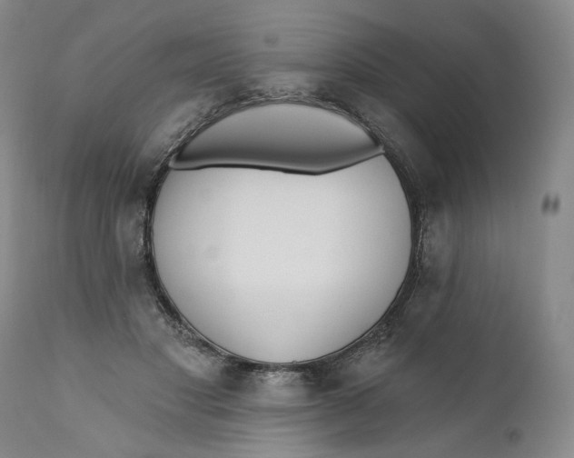X0000110920501200907091500