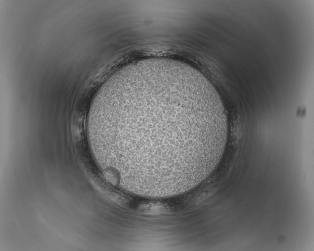 X0000110920503200907091500