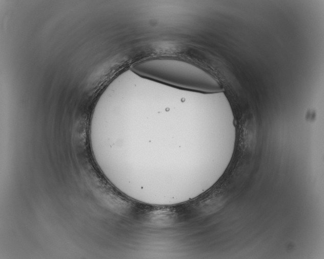 X0000110920505200907091500