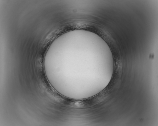 X0000110920506200907091500