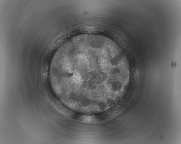 X0000110920507200907091500