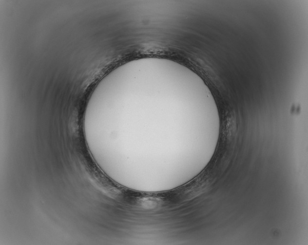 X0000110920508200907091500