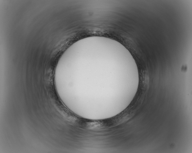 X0000110920511200907091500