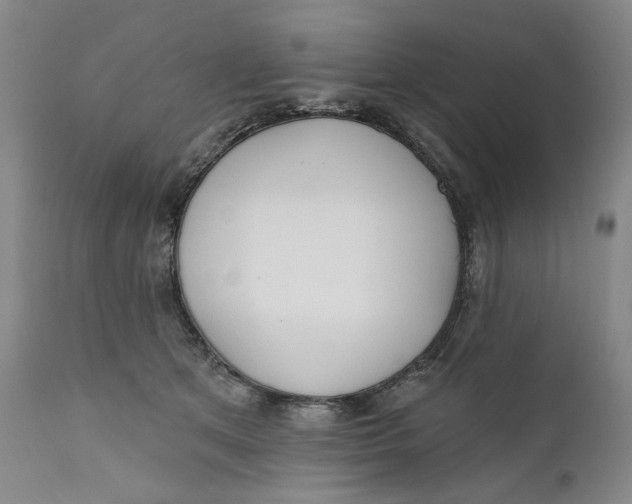 X0000110920513200907091500