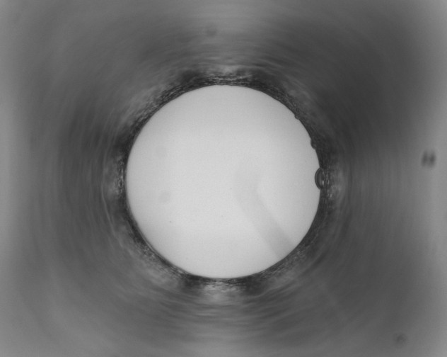 X0000110920515200907091500