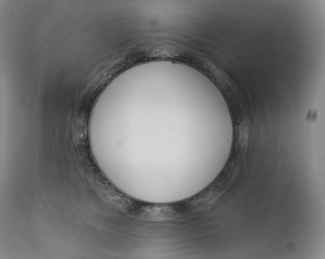 X0000110920517200907091500