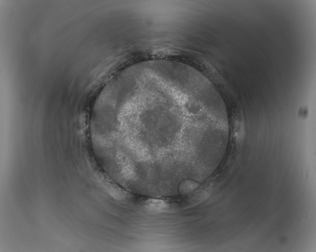X0000110920519200907091500
