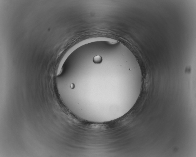 X0000110920520200907091500