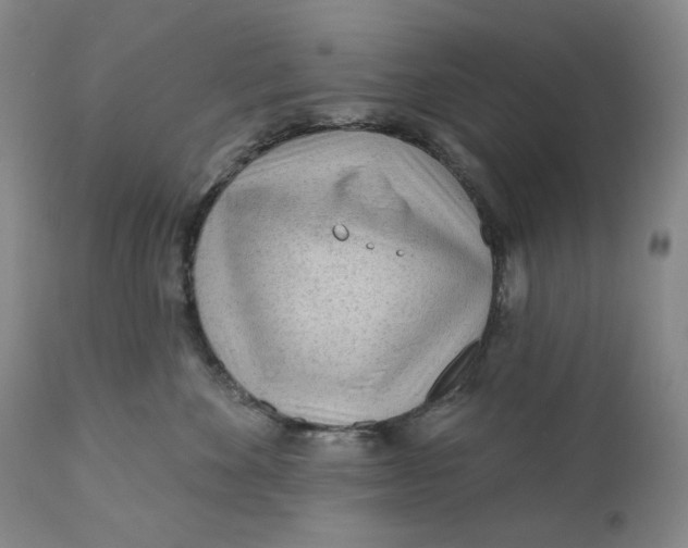 X0000110920524200907091500