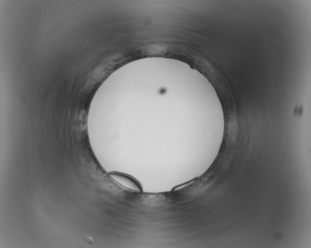X0000110920525200907091500